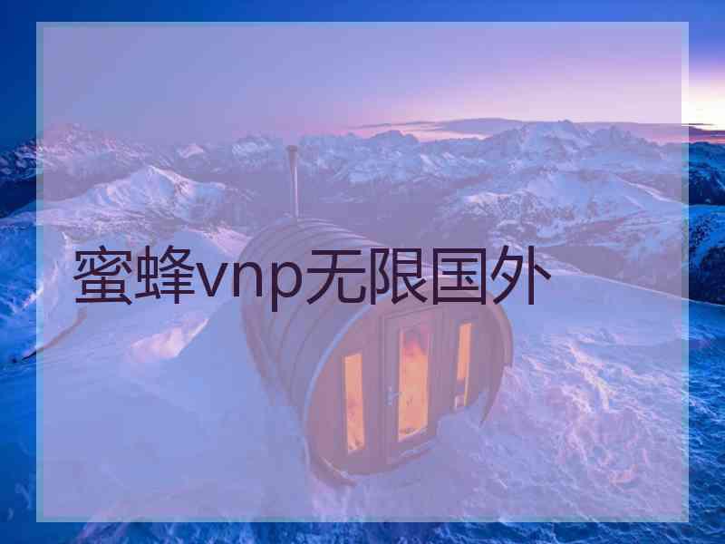 蜜蜂vnp无限国外