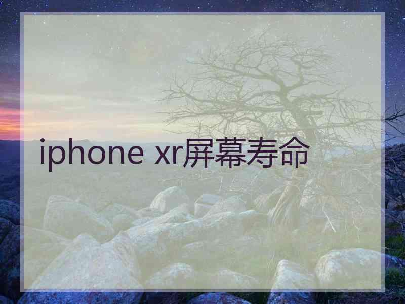 iphone xr屏幕寿命