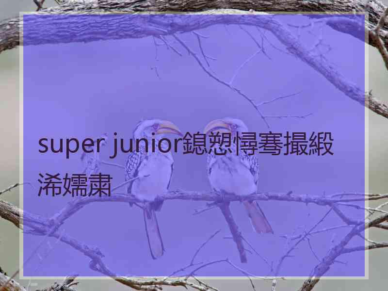 super junior鎴愬憳骞撮緞浠嬬粛