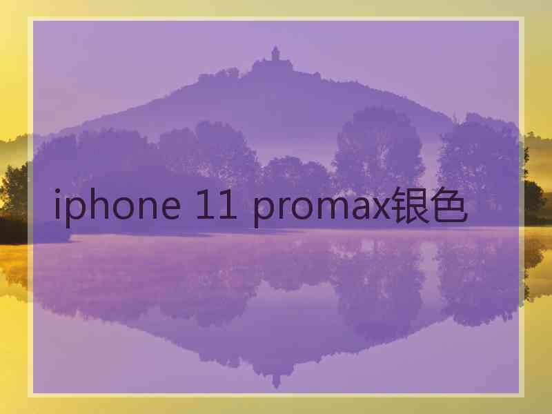 iphone 11 promax银色