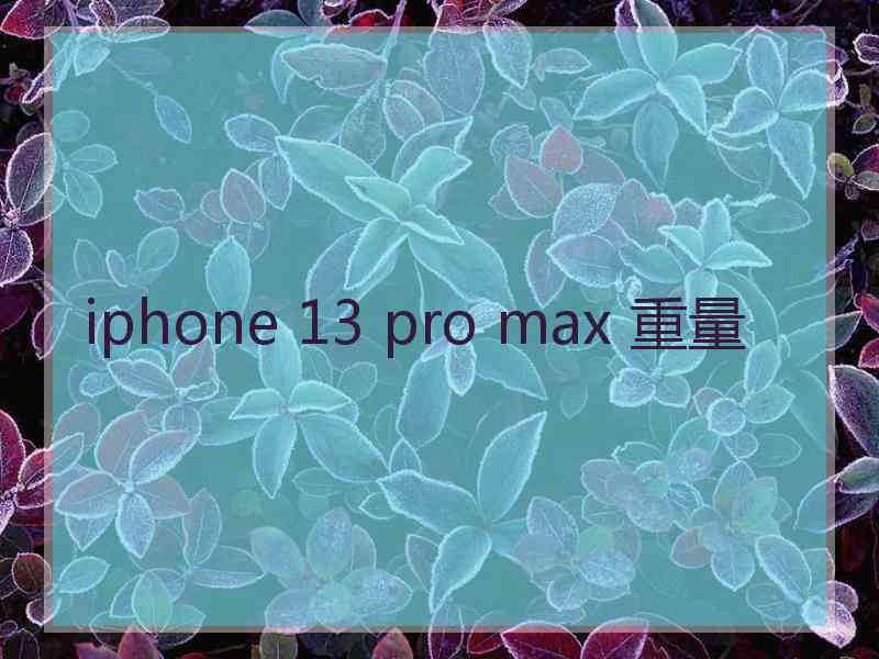 iphone 13 pro max 重量