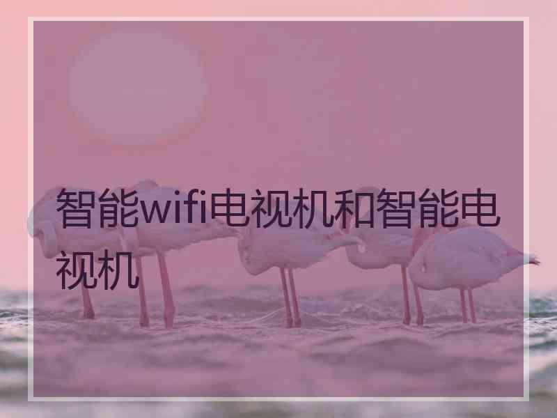 智能wifi电视机和智能电视机