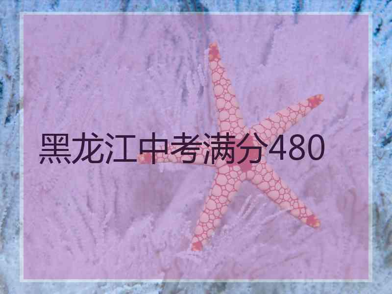 黑龙江中考满分480