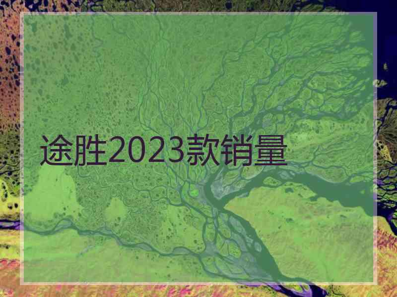 途胜2023款销量