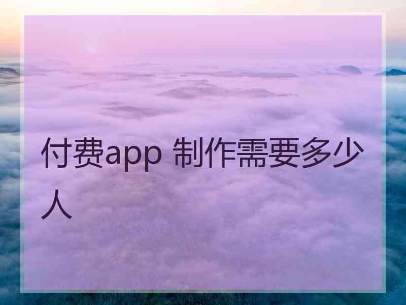 付费app 制作需要多少人