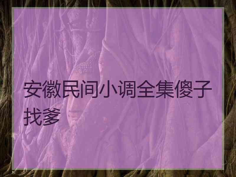 安徽民间小调全集傻子找爹