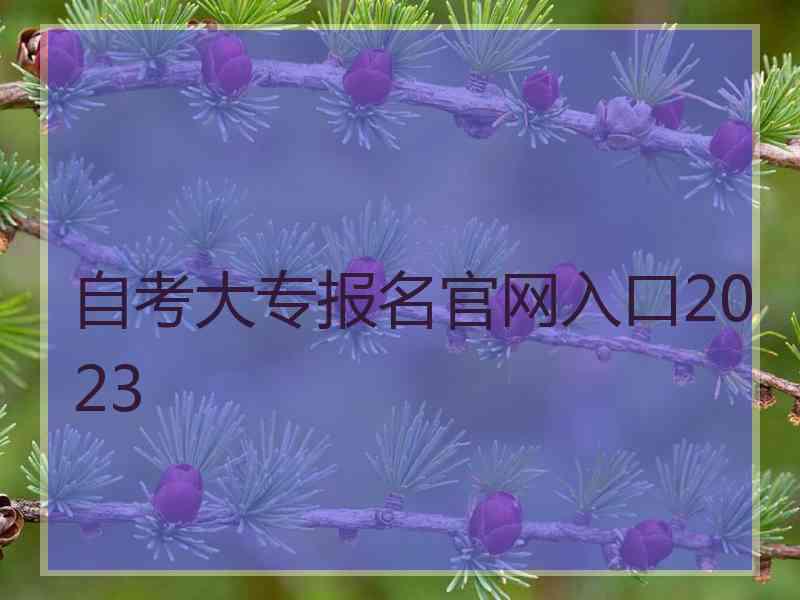 自考大专报名官网入口2023