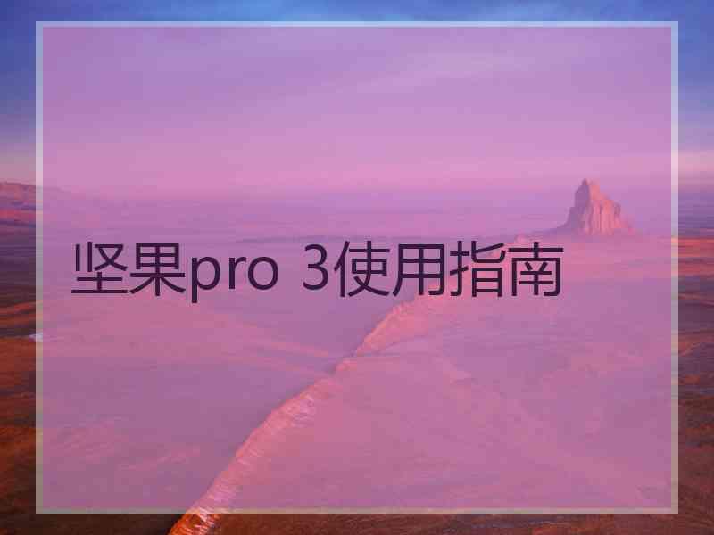 坚果pro 3使用指南