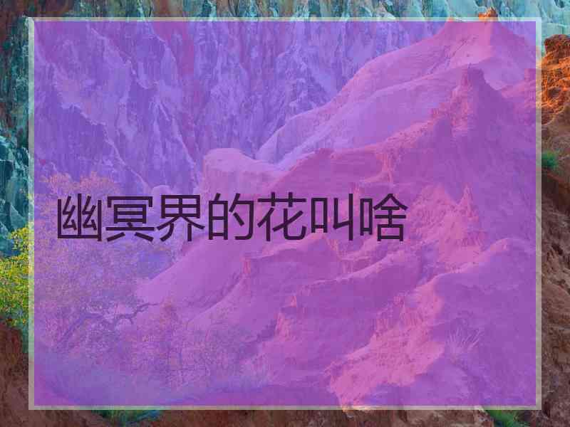 幽冥界的花叫啥