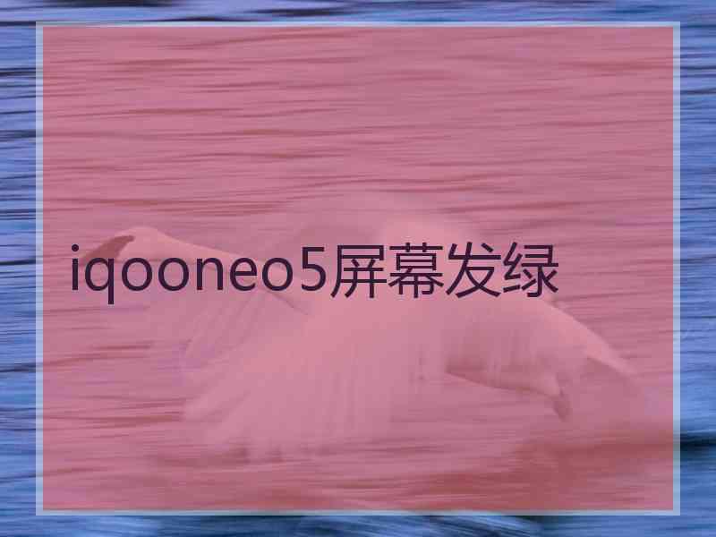 iqooneo5屏幕发绿