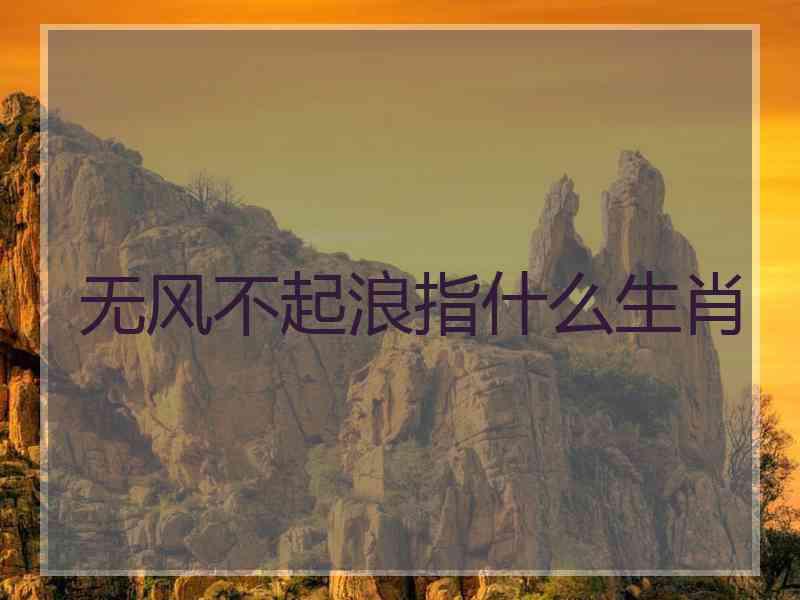 无风不起浪指什么生肖