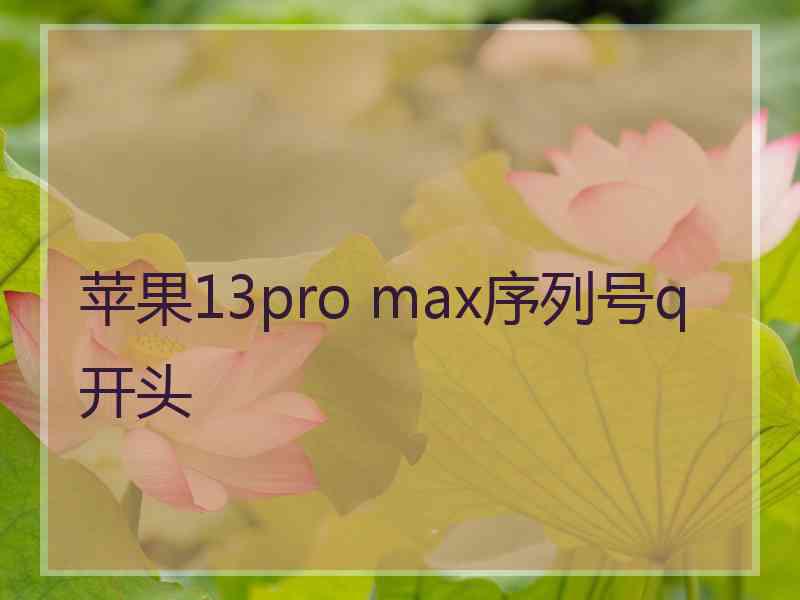 苹果13pro max序列号q开头