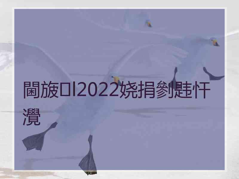 閫旇l2022娆捐剼韪忓灚