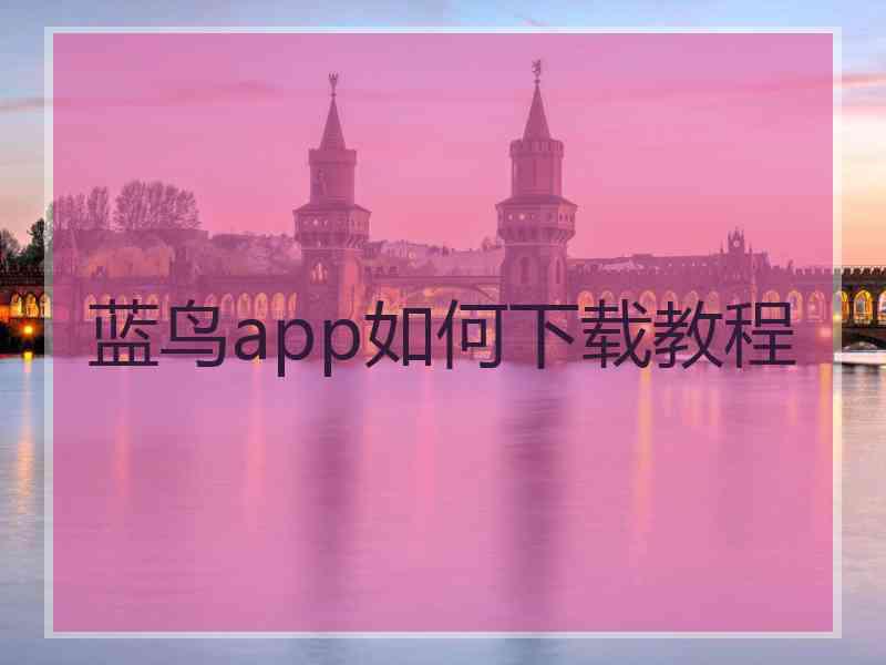 蓝鸟app如何下载教程