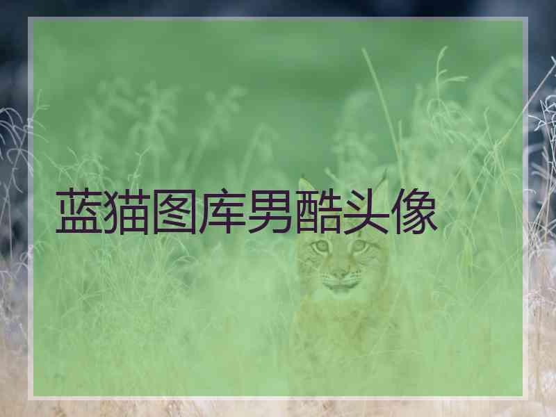 蓝猫图库男酷头像