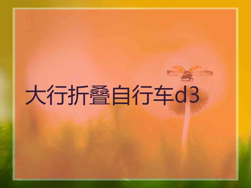 大行折叠自行车d3