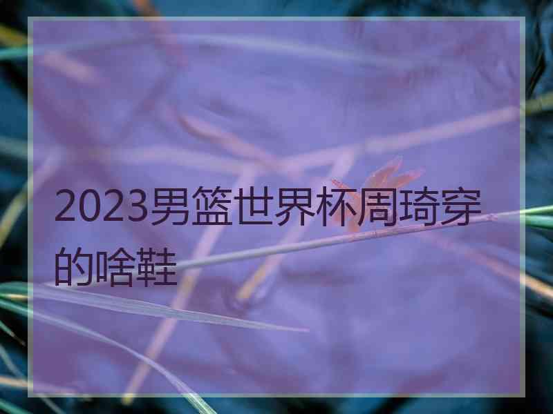 2023男篮世界杯周琦穿的啥鞋