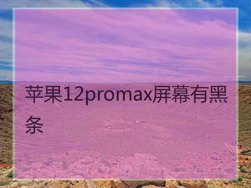 苹果12promax屏幕有黑条