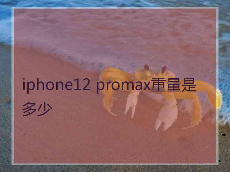 iphone12 promax重量是多少