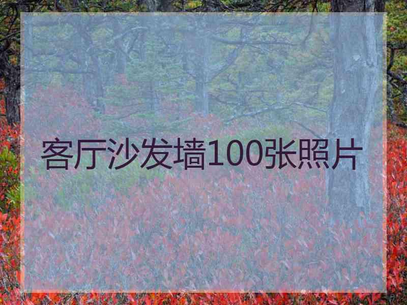 客厅沙发墙100张照片