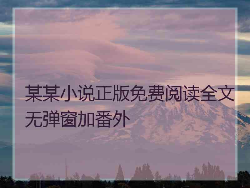 某某小说正版免费阅读全文无弹窗加番外