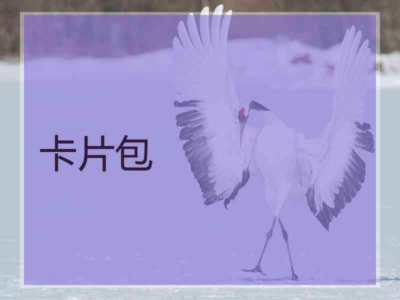 卡片包