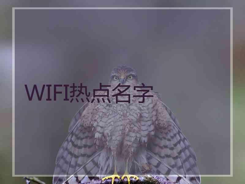 WIFI热点名字