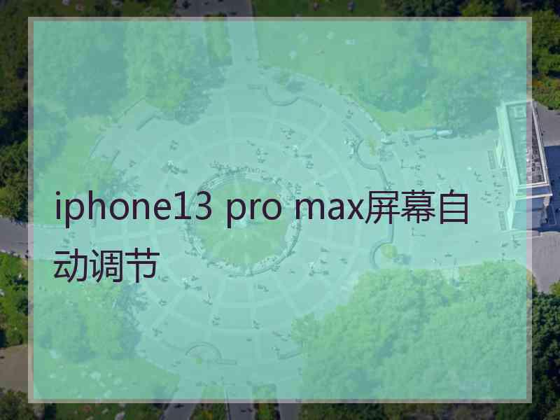 iphone13 pro max屏幕自动调节