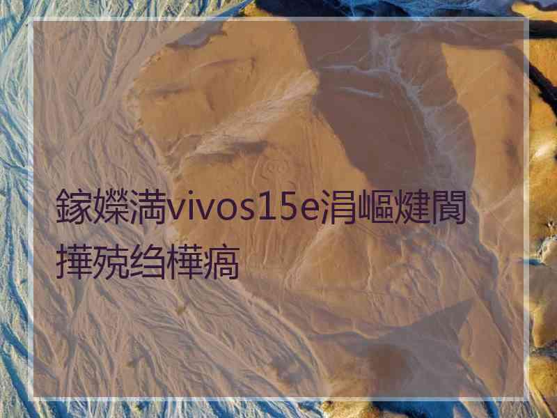 鎵嬫満vivos15e涓嶇煡閬撶殑绉樺瘑