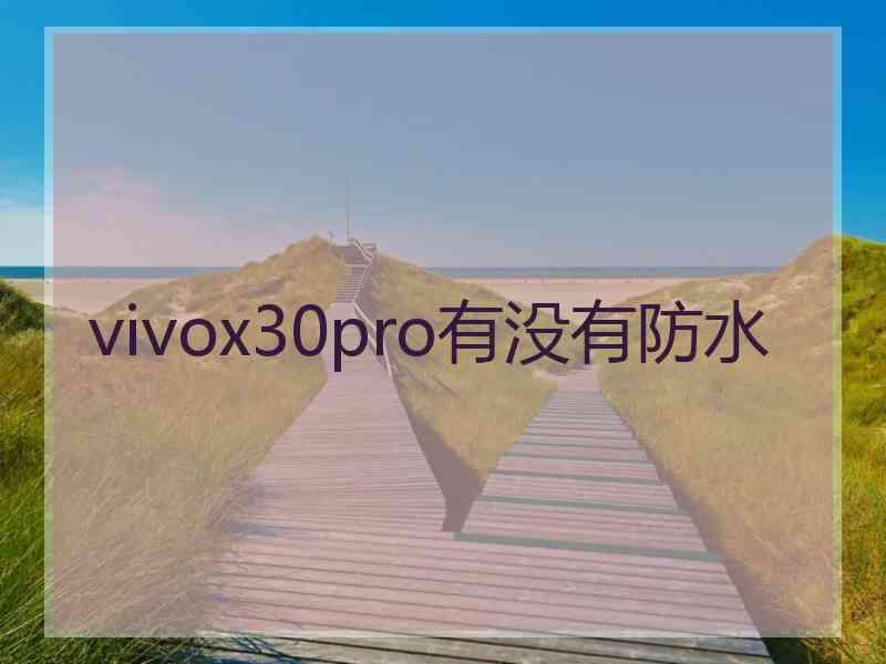 vivox30pro有没有防水