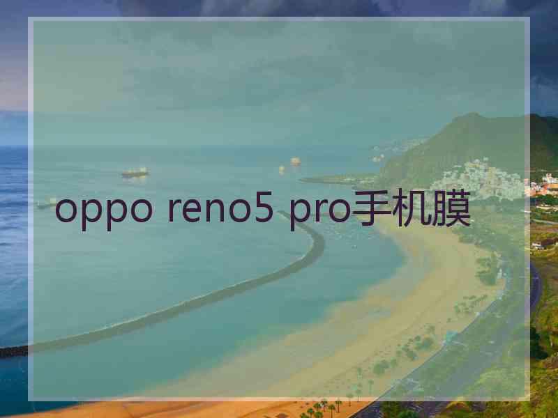 oppo reno5 pro手机膜