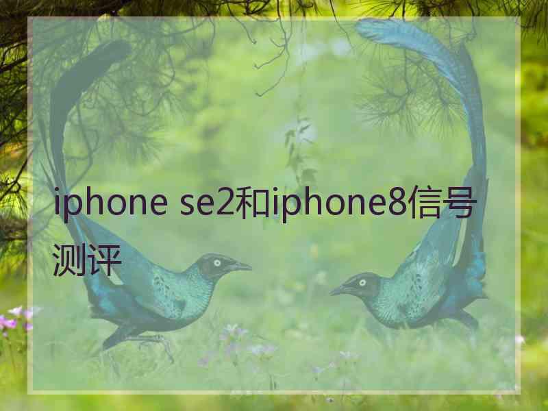 iphone se2和iphone8信号测评