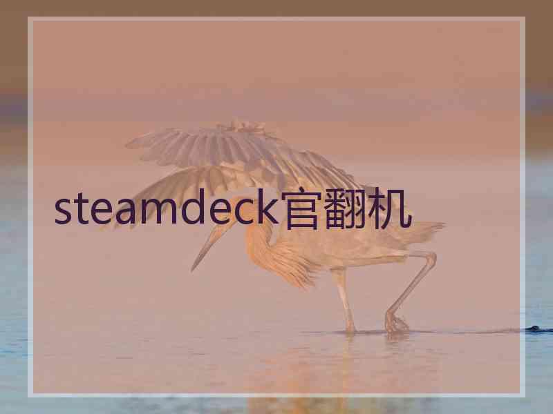 steamdeck官翻机