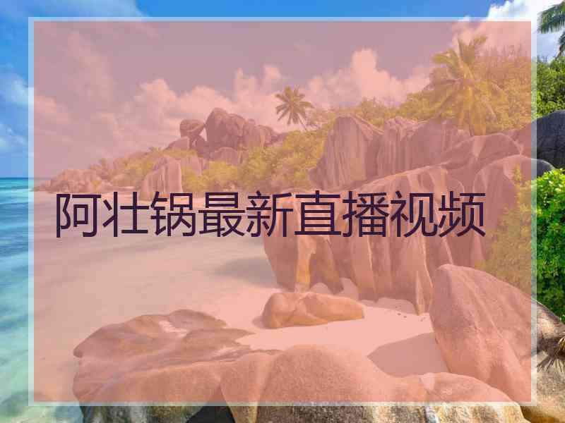 阿壮锅最新直播视频