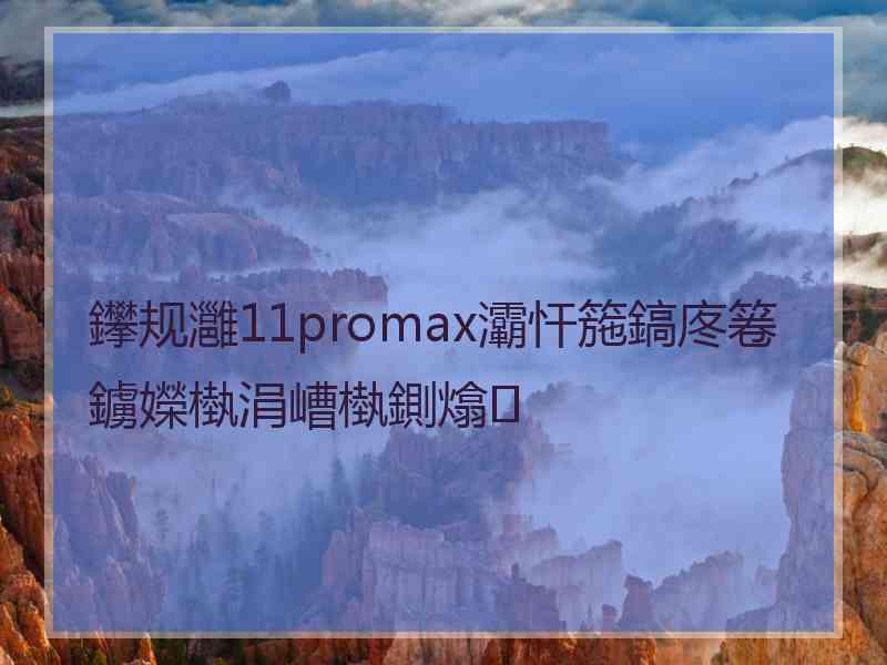 鑻规灉11promax灞忓箷鎬庝箞鐪嬫槸涓嶆槸鍘熻