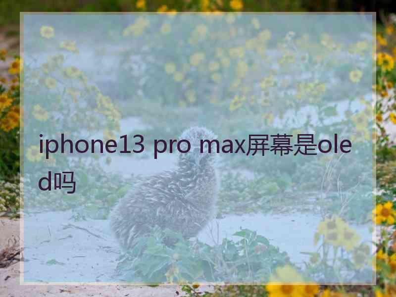 iphone13 pro max屏幕是oled吗