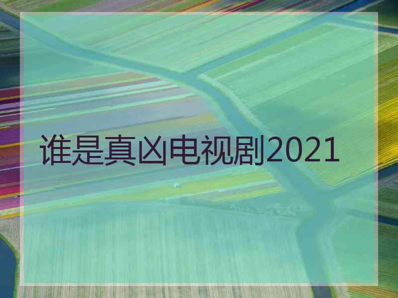 谁是真凶电视剧2021