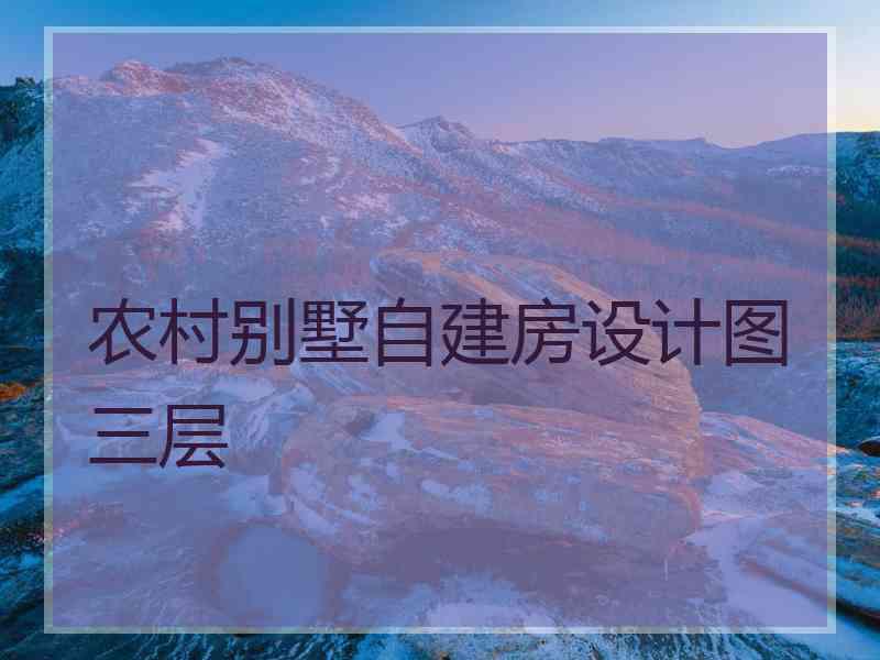 农村别墅自建房设计图三层