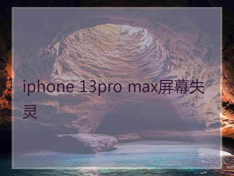 iphone 13pro max屏幕失灵