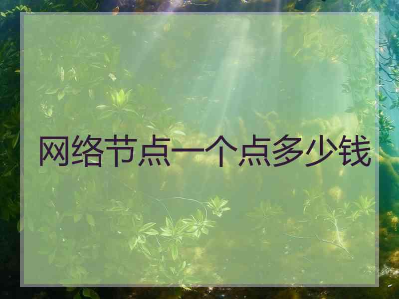 网络节点一个点多少钱