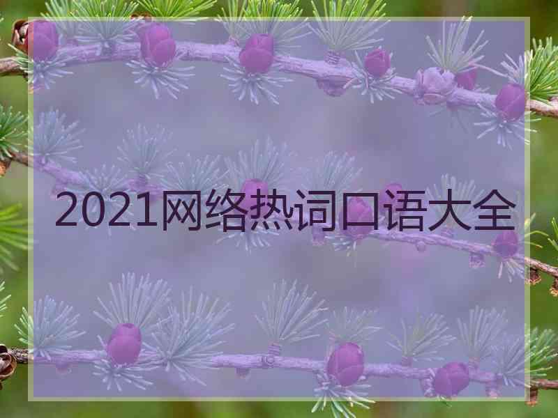 2021网络热词口语大全