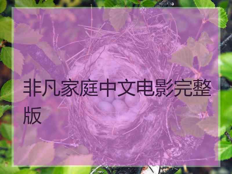 非凡家庭中文电影完整版