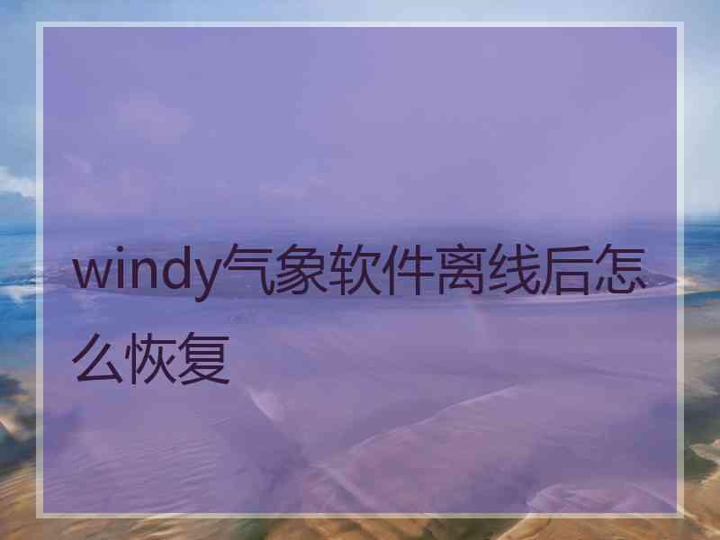 windy气象软件离线后怎么恢复