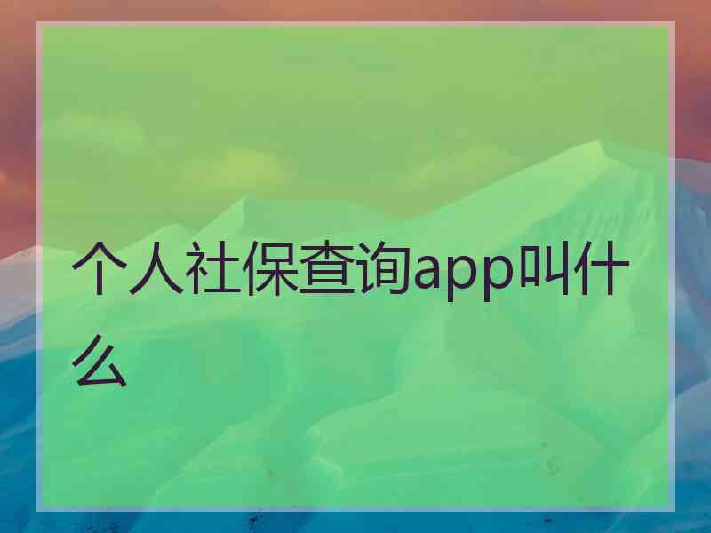 个人社保查询app叫什么