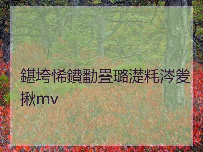 鍖垮悕鐨勫疂璐濋粍涔夎揪mv