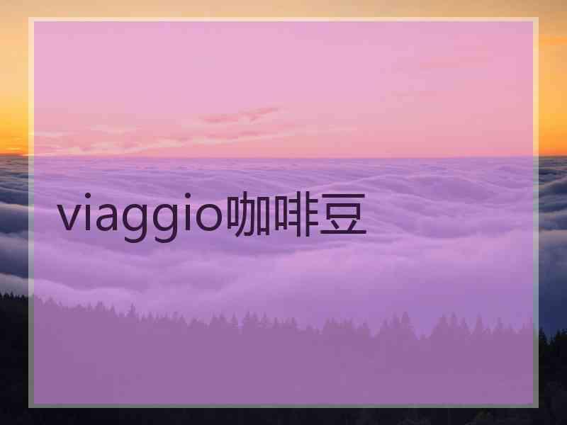 viaggio咖啡豆