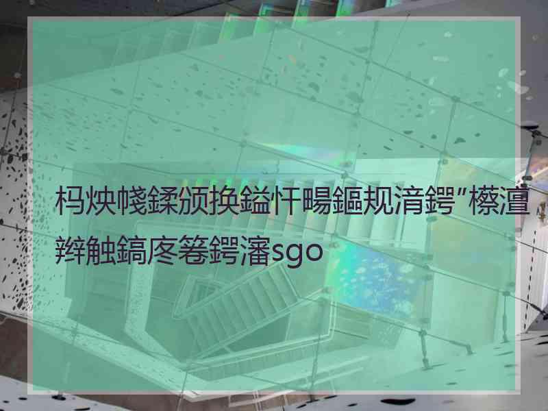 杩炴帴鍒颁换鎰忓畼鏂规湇鍔″櫒澶辫触鎬庝箞鍔瀋sgo