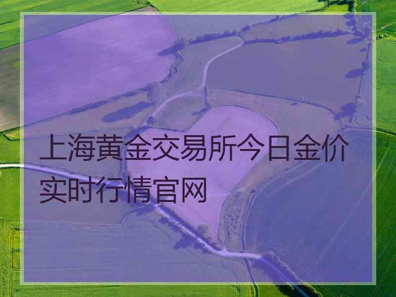 上海黄金交易所今日金价实时行情官网