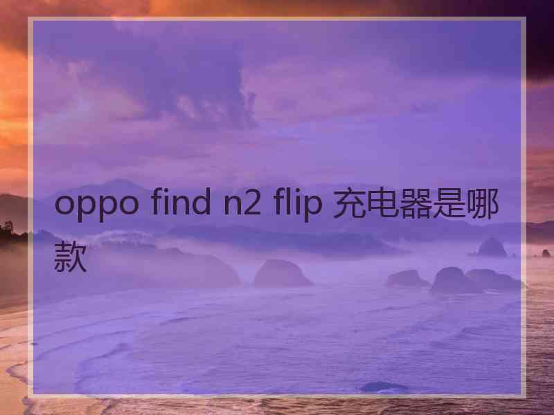 oppo find n2 flip 充电器是哪款