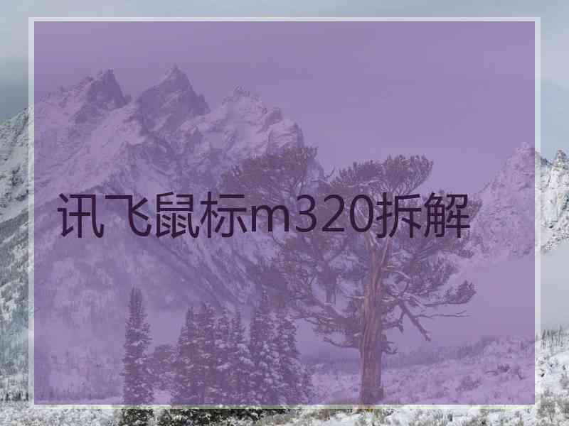 讯飞鼠标m320拆解